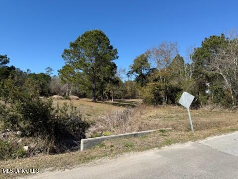 115 Dogwood Drive Property Photo 5