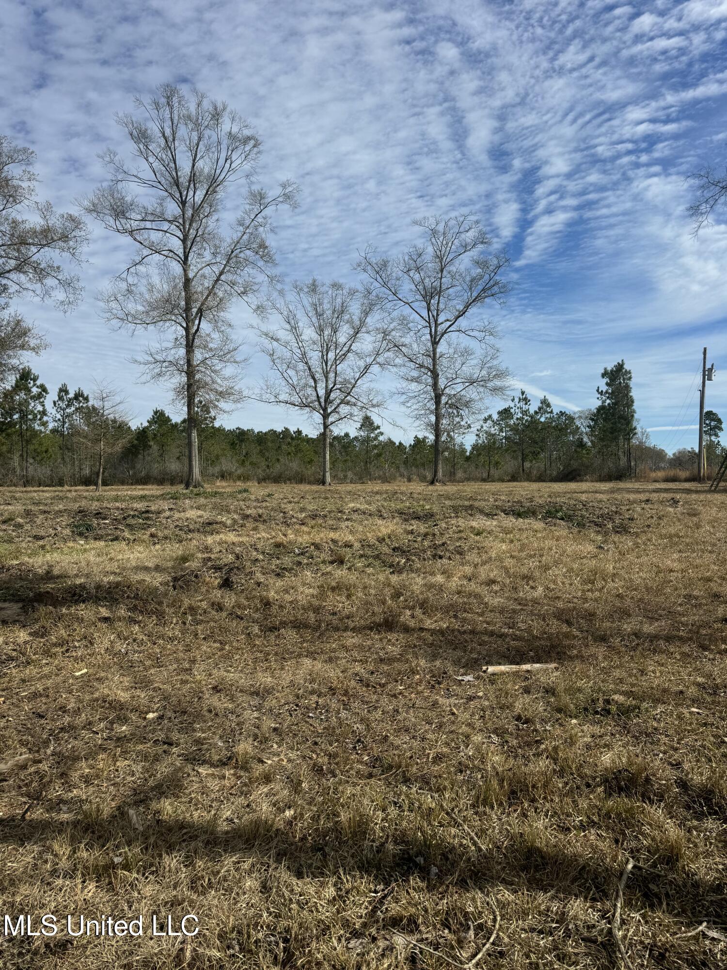 51 L Jack Stewart Road Property Photo 2