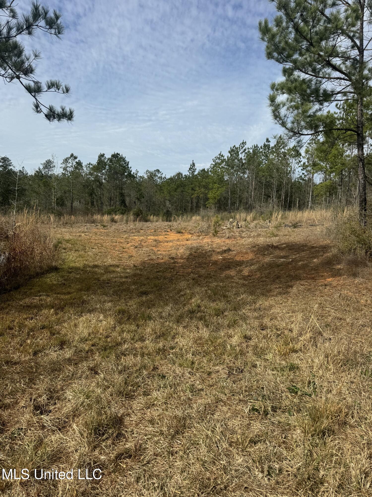 51 L Jack Stewart Road Property Photo 14
