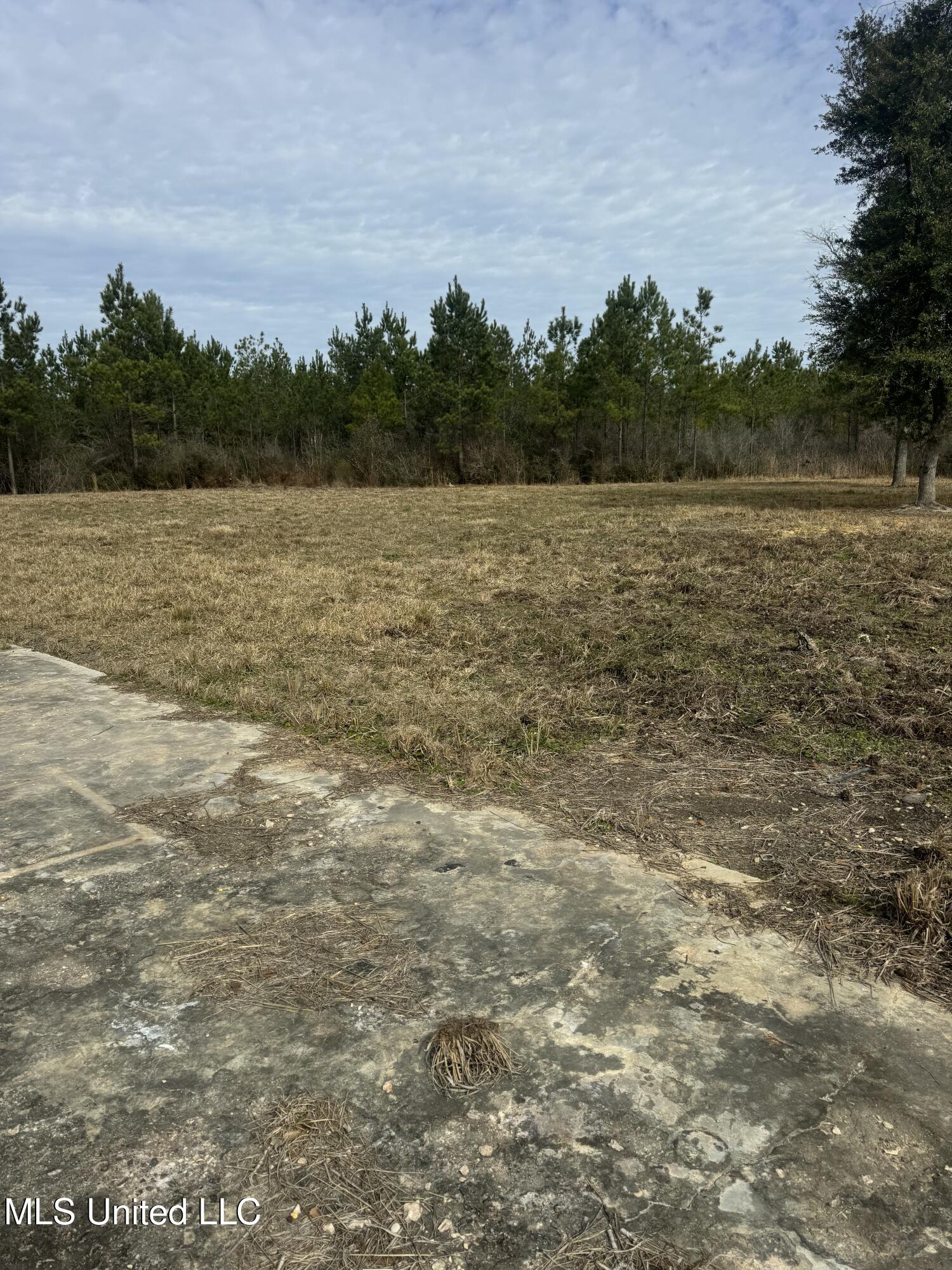 51 L Jack Stewart Road Property Photo 17