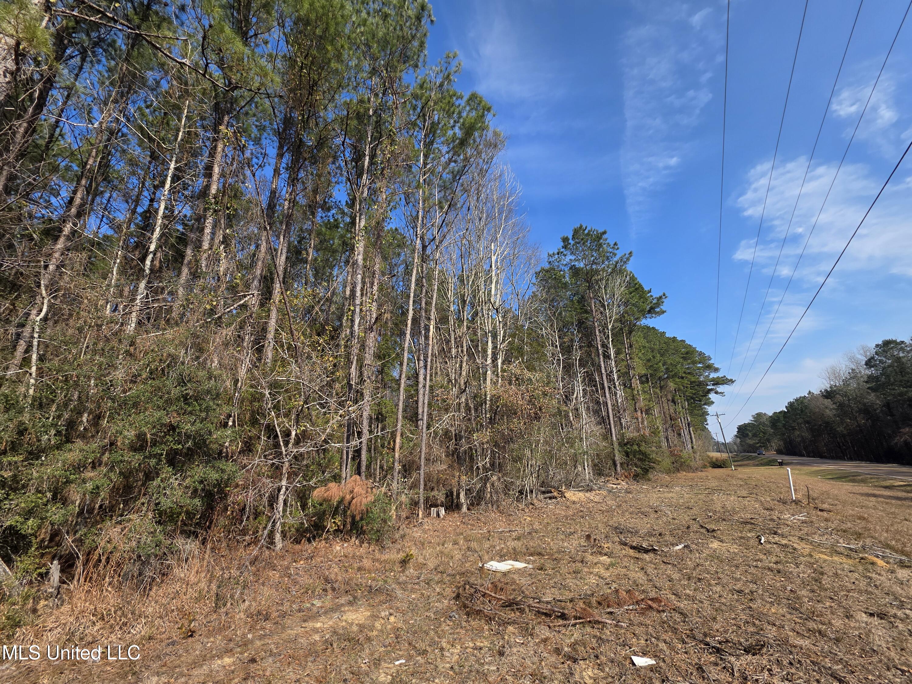 0 Wildwood Trail Property Photo 3