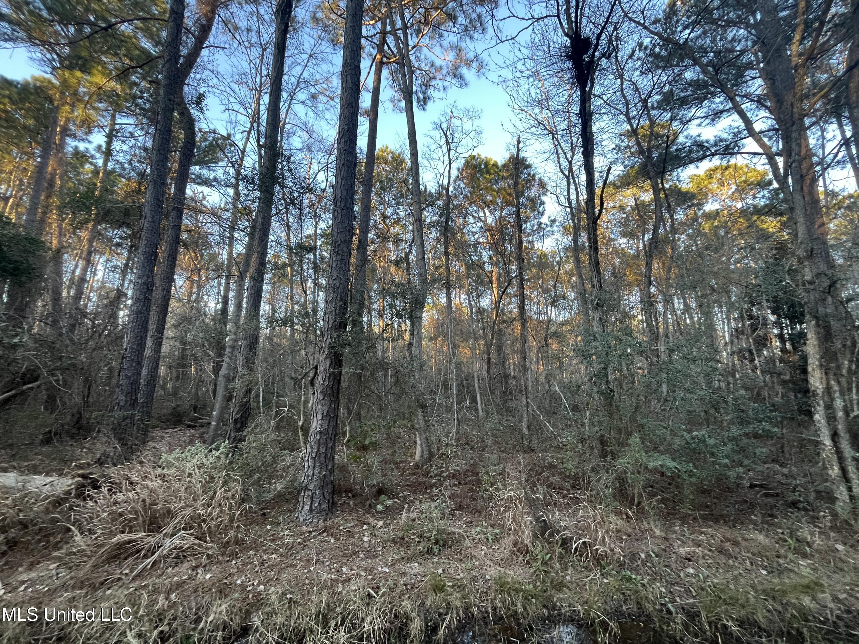 Lot 37-38 E Greene Street Property Photo 1