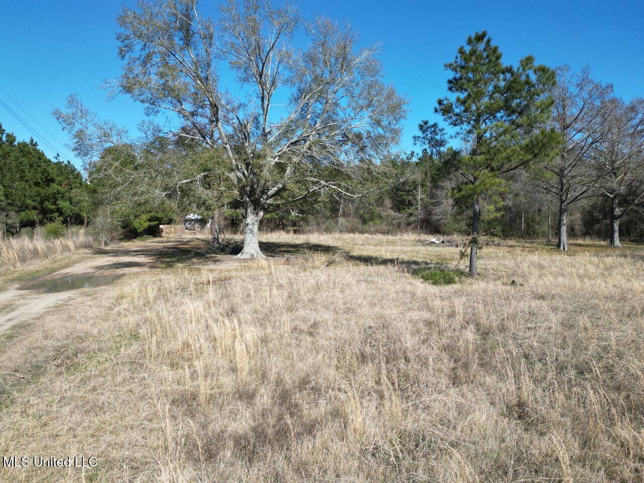165 Mitchell Road Property Photo 12