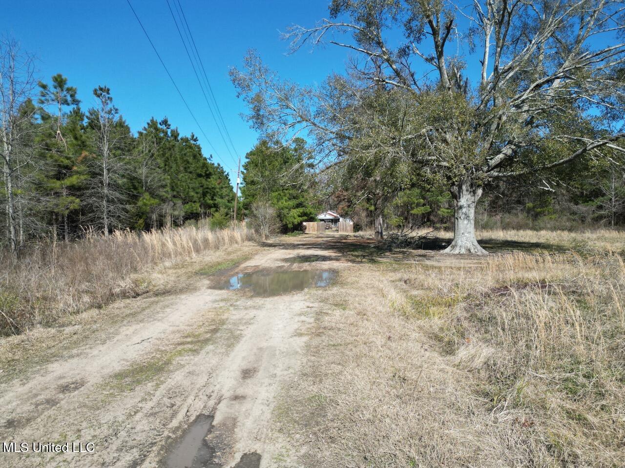 165 Mitchell Road Property Photo 13