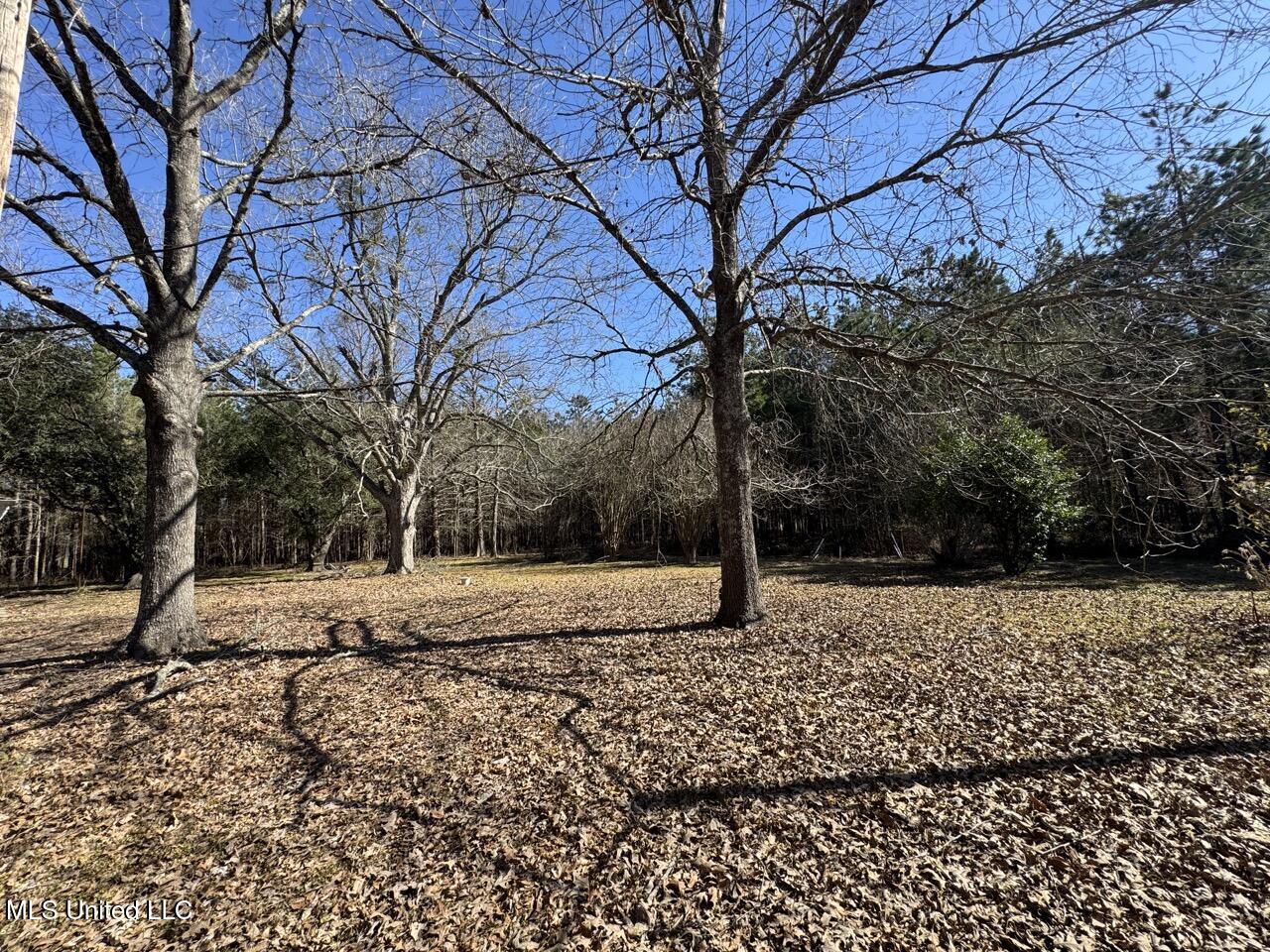 165 Mitchell Road Property Photo 15
