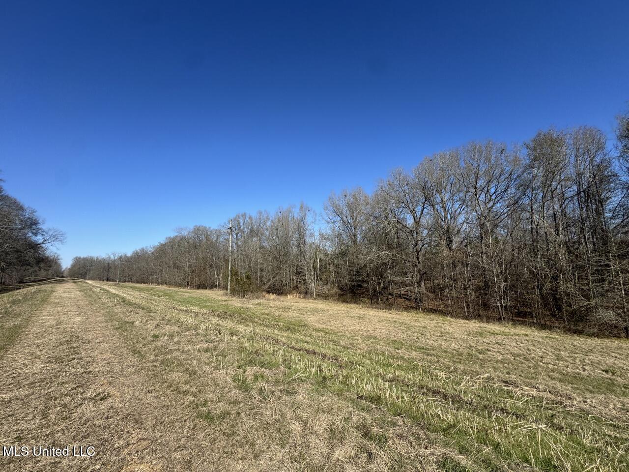 165 Mitchell Road Property Photo 17