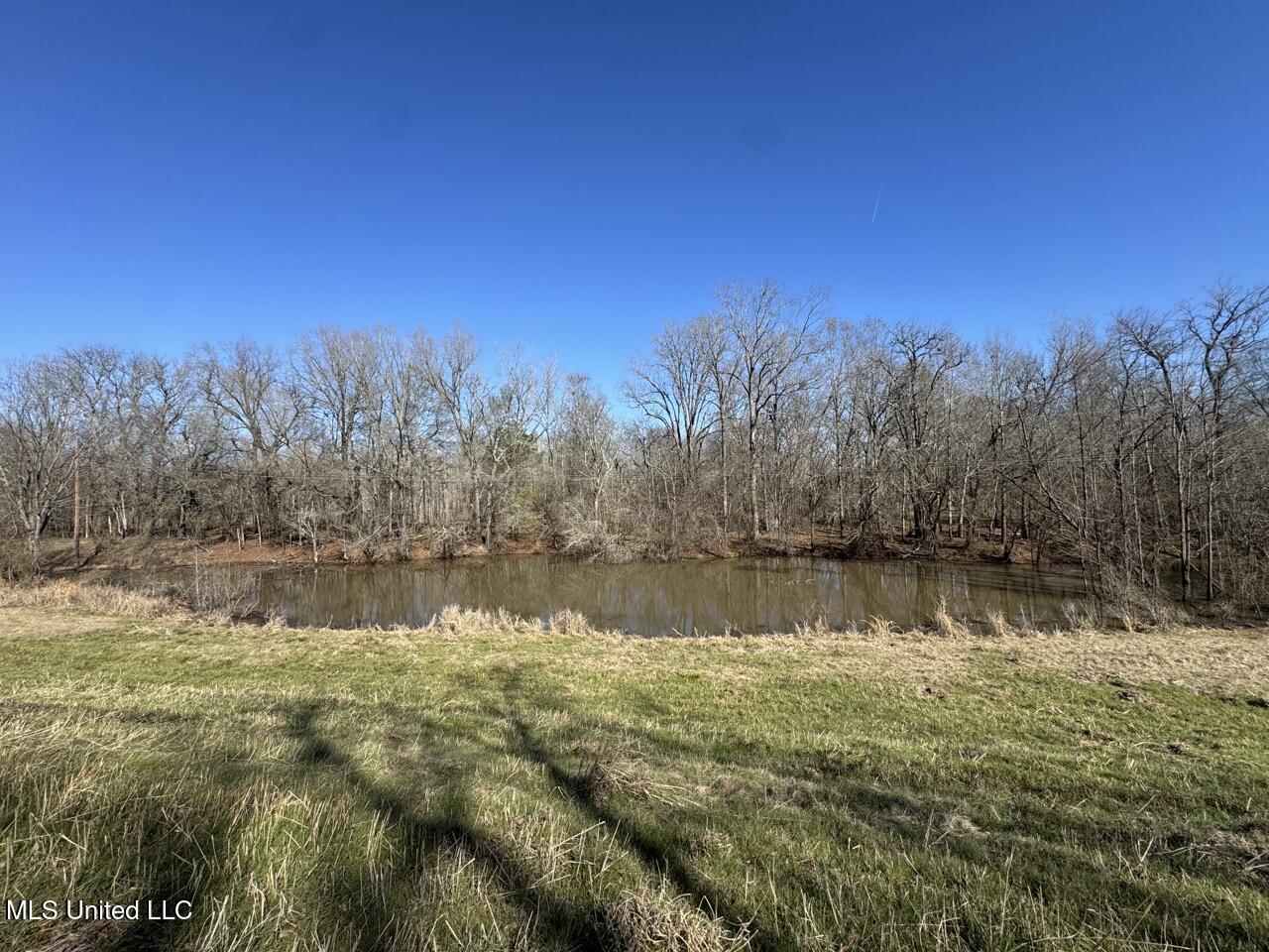 165 Mitchell Road Property Photo 18