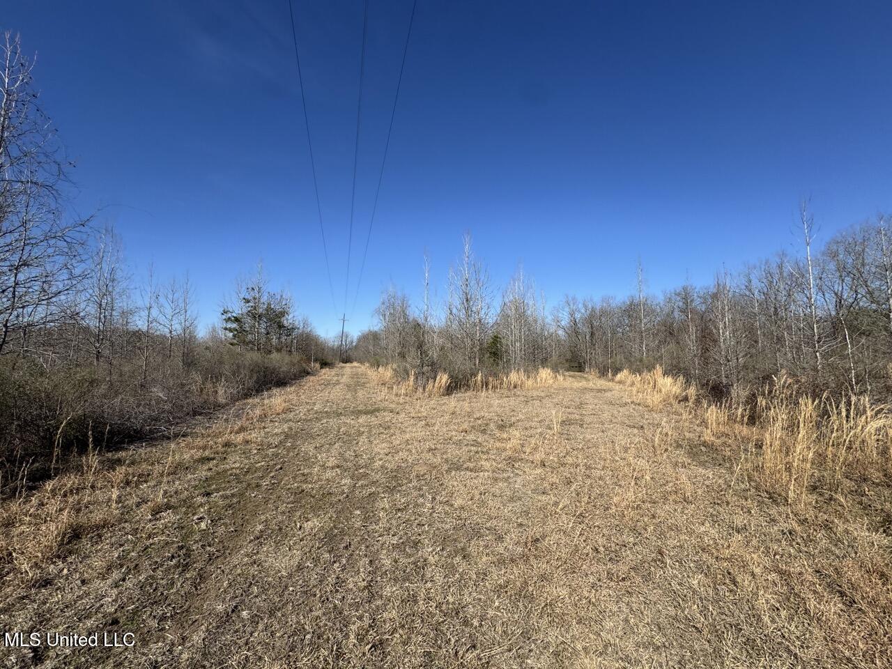 165 Mitchell Road Property Photo 22