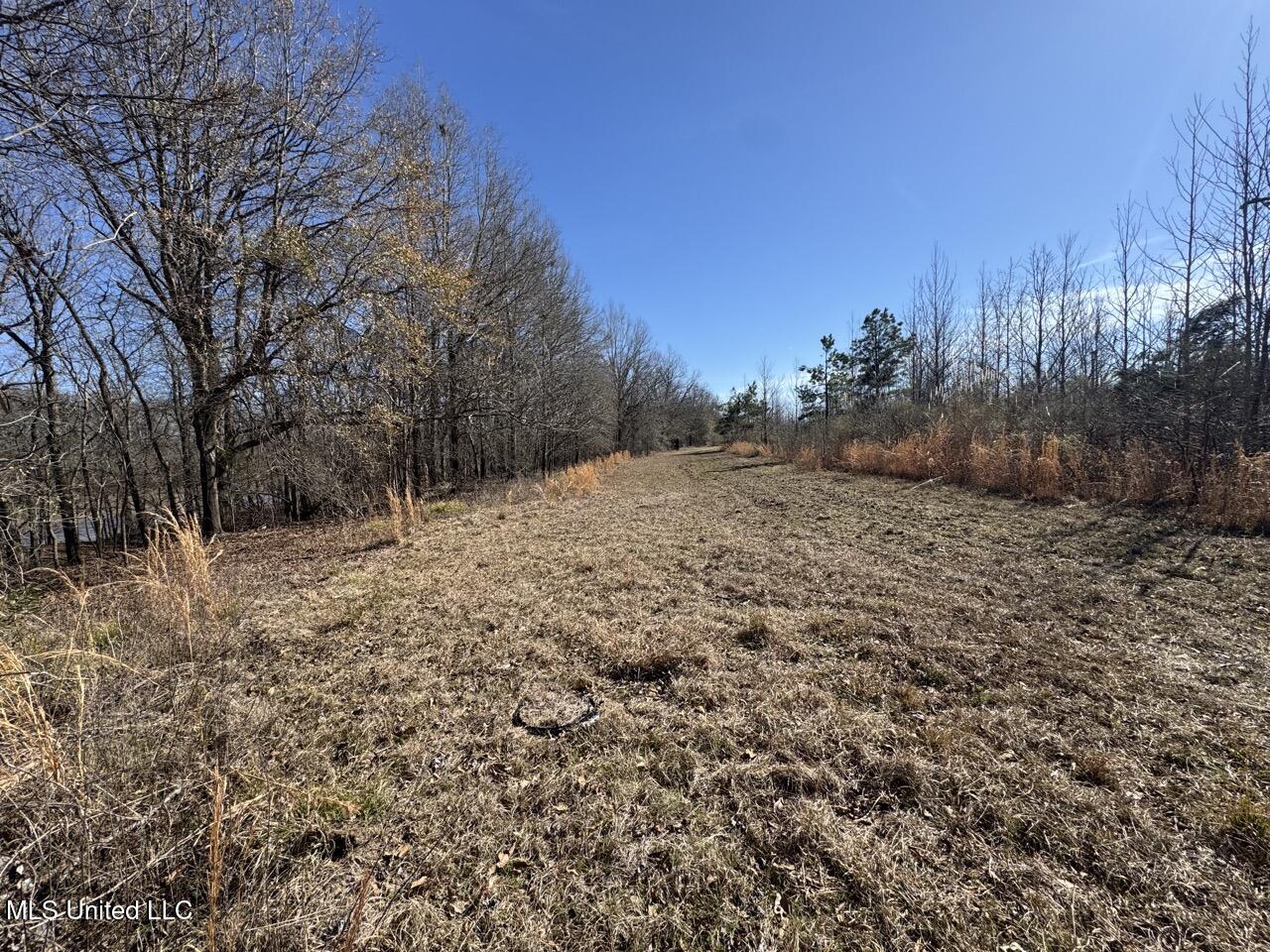 165 Mitchell Road Property Photo 26