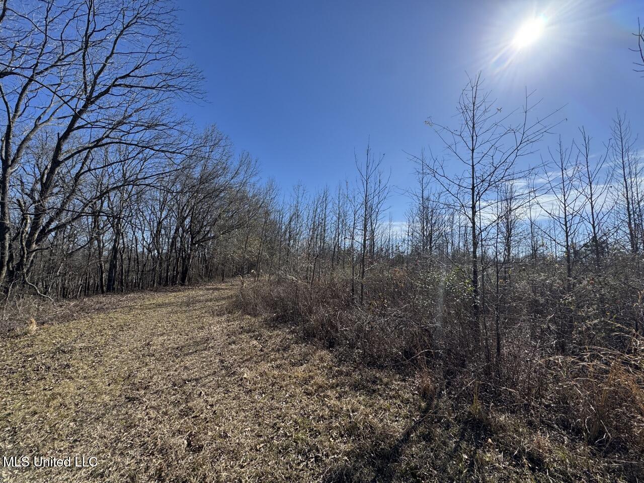 165 Mitchell Road Property Photo 31