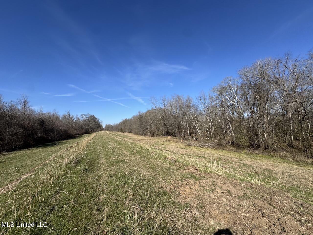 165 Mitchell Road Property Photo 47
