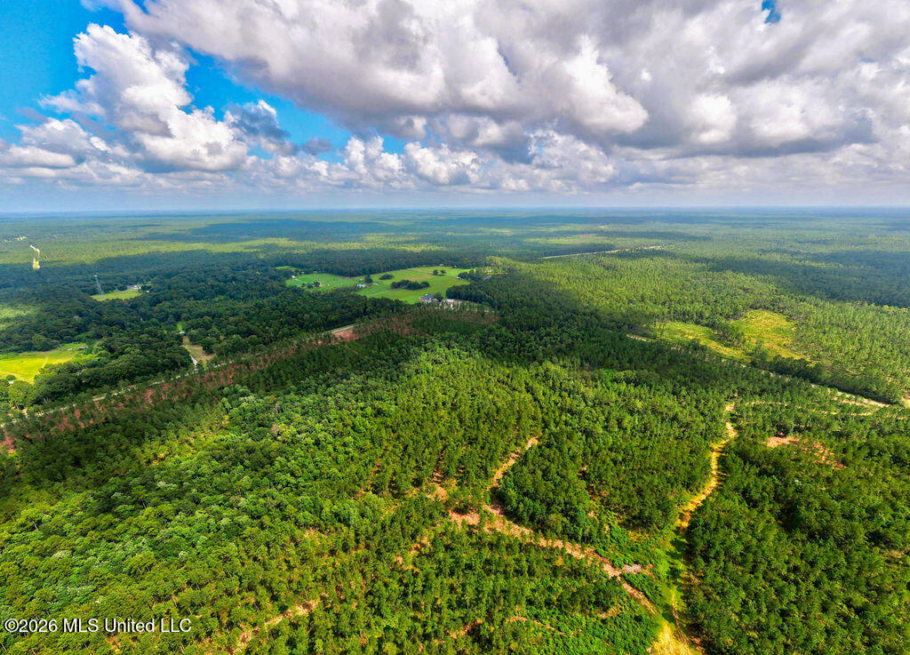Nhn Lot 13 Bethel Road Property Photo 13