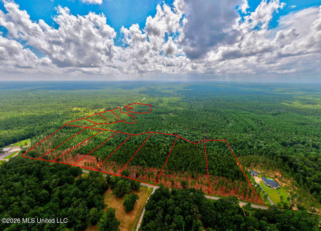 Nhn Lot 13 Bethel Road Property Photo 17