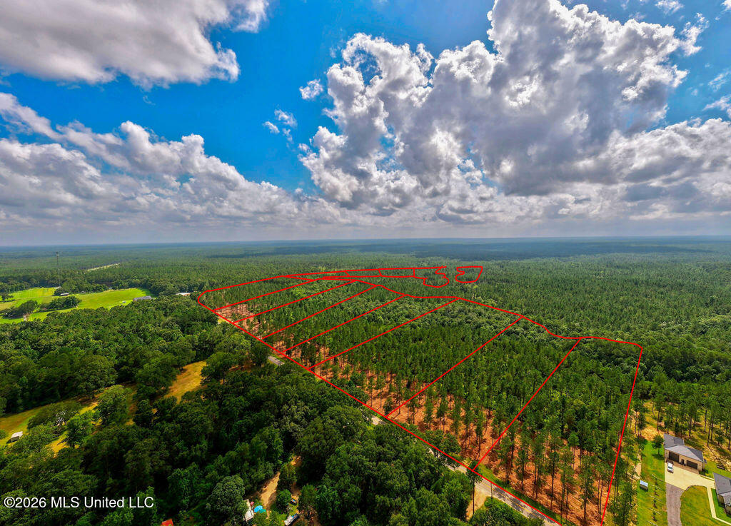Nhn Lot 13 Bethel Road Property Photo 23