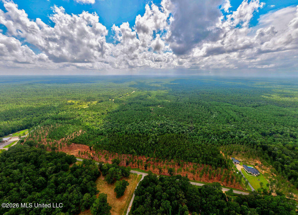 Nhn Lot 13 Bethel Road Property Photo 60