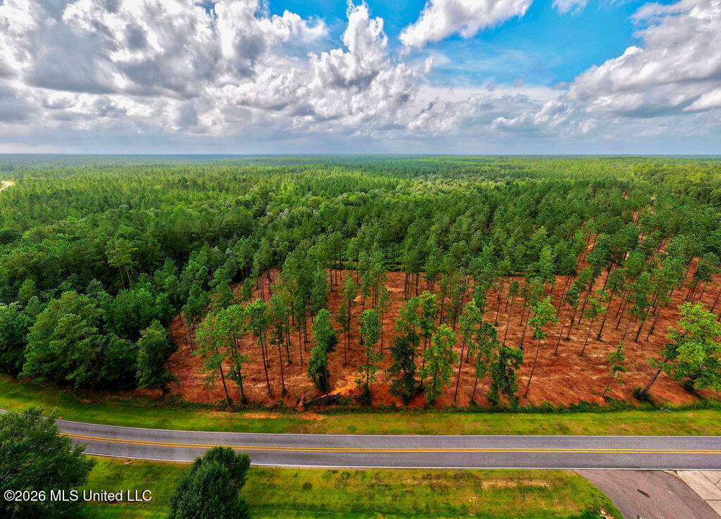 Nhn Lot 13 Bethel Road Property Photo 73