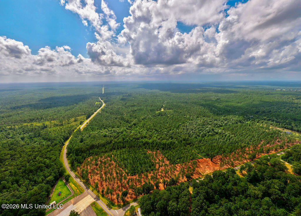 Nhn Lot 13 Bethel Road Property Photo 83