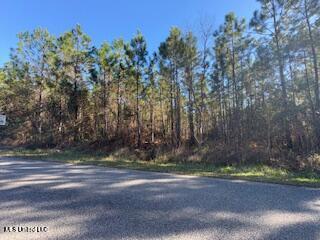 00 Allen Road Property Photo 1