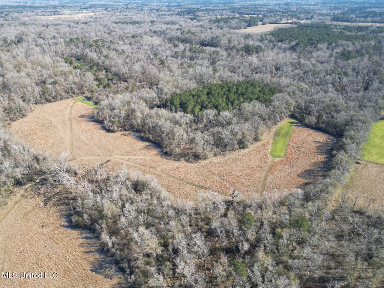11311 Port Hudson-pride Road Property Photo 2