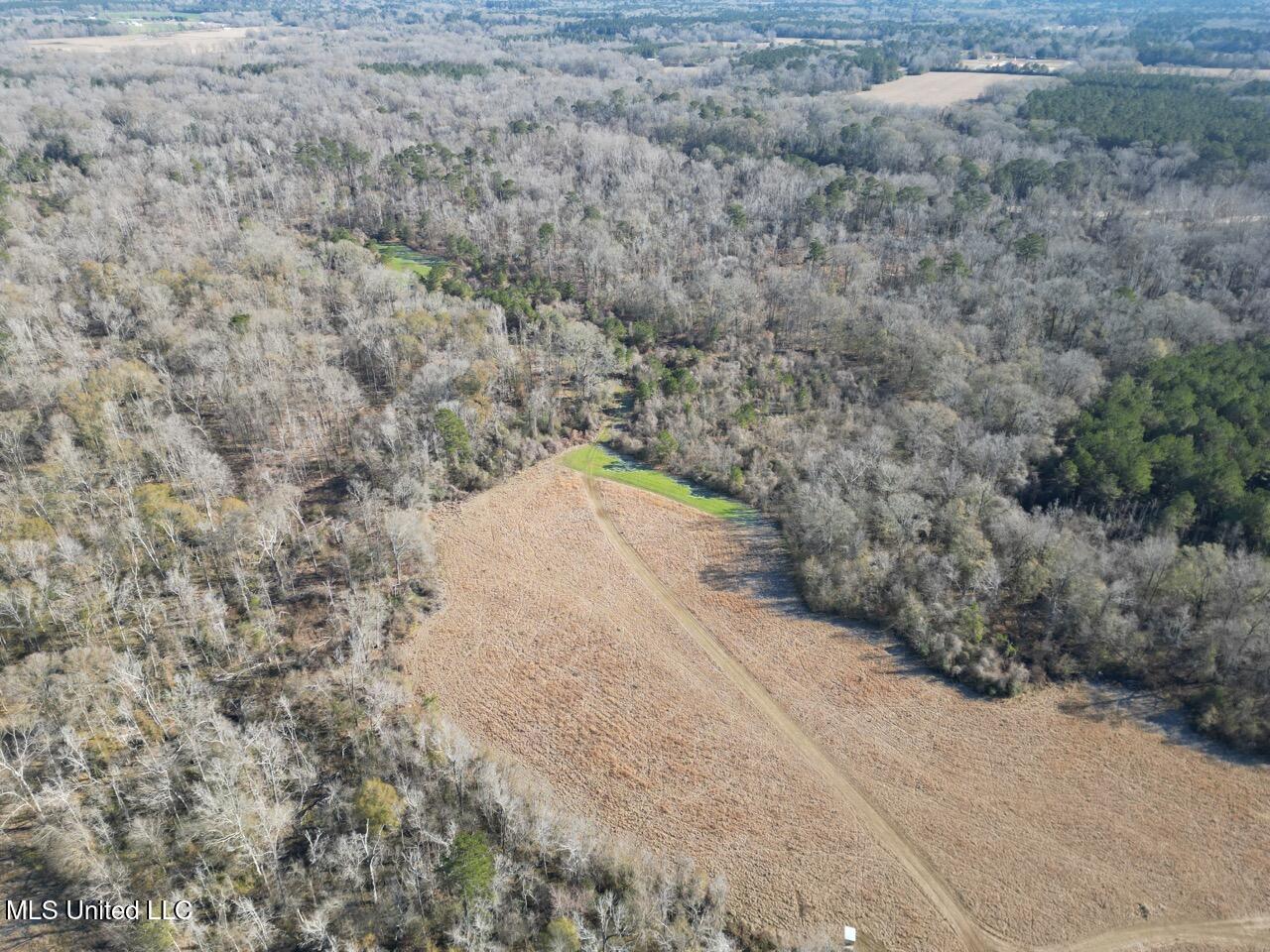 11311 Port Hudson-pride Road Property Photo 4