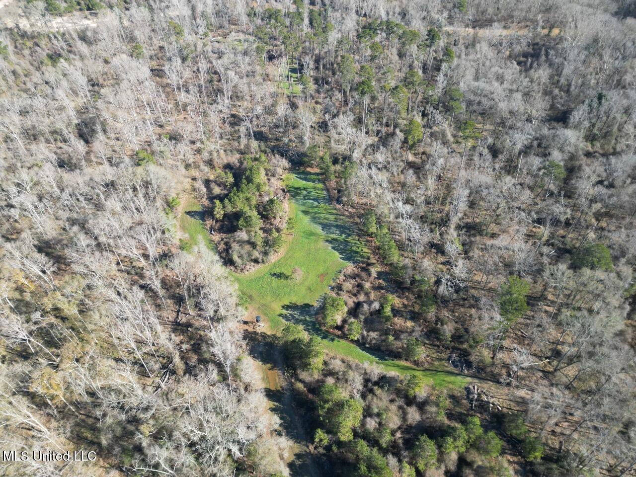 11311 Port Hudson-pride Road Property Photo 5