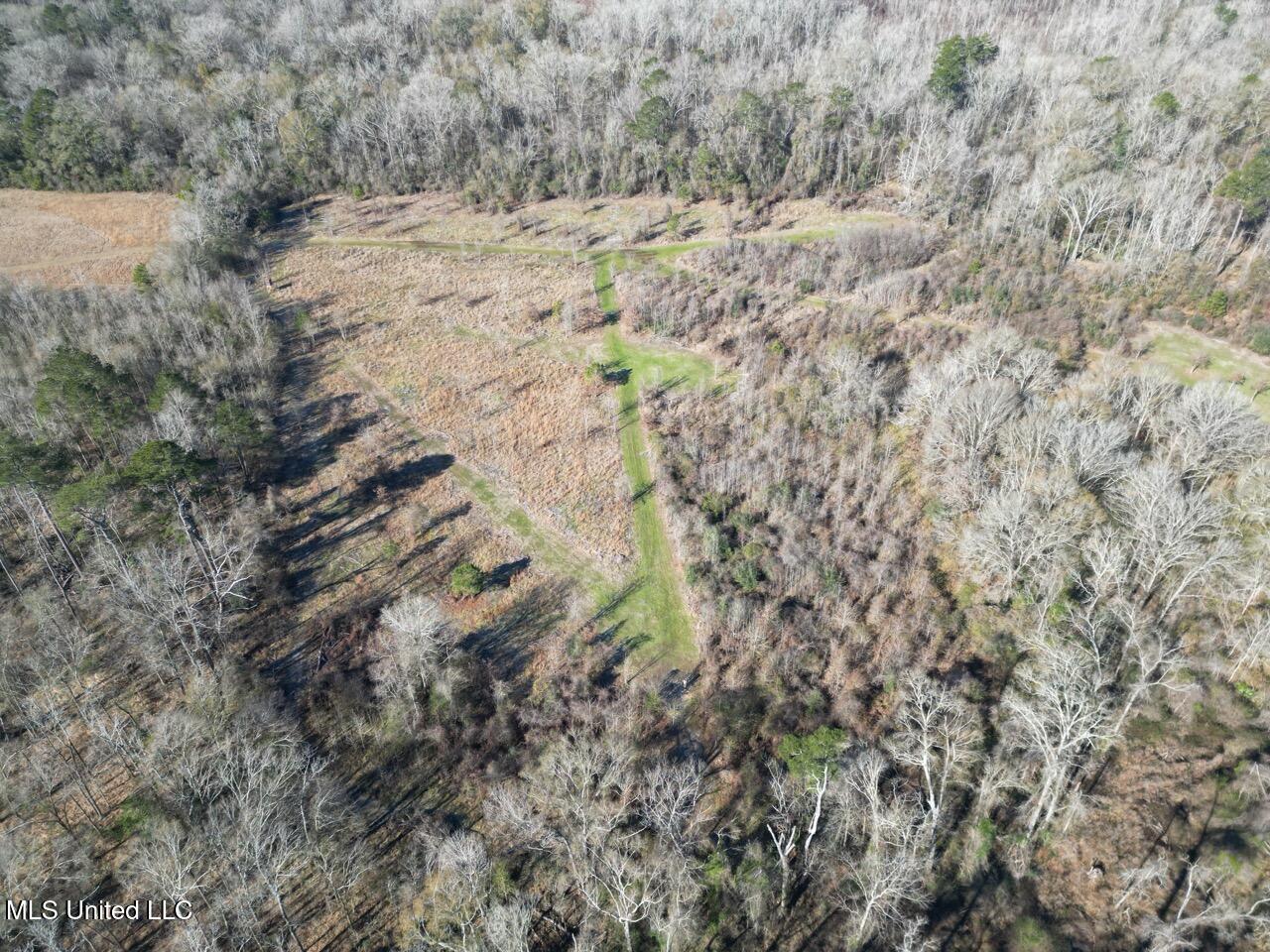 11311 Port Hudson-pride Road Property Photo 6