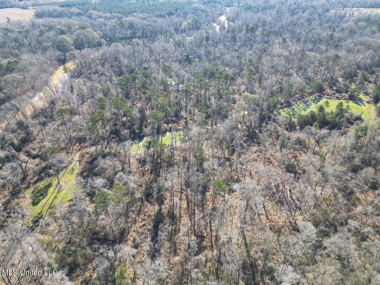 11311 Port Hudson-pride Road Property Photo 9