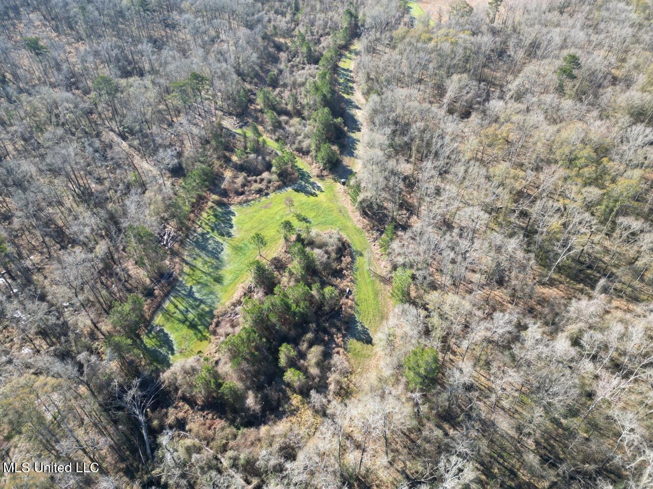 11311 Port Hudson-pride Road Property Photo 10