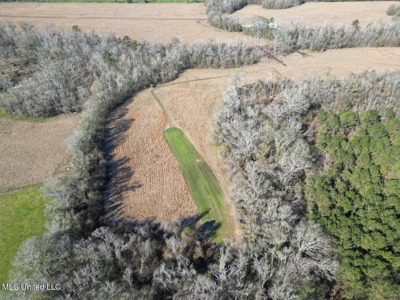 11311 Port Hudson-pride Road Property Photo 11