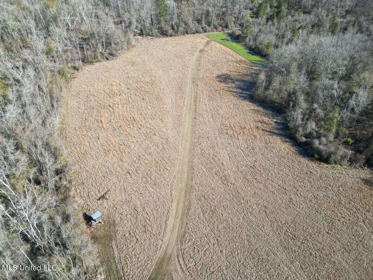 11311 Port Hudson-pride Road Property Photo 12