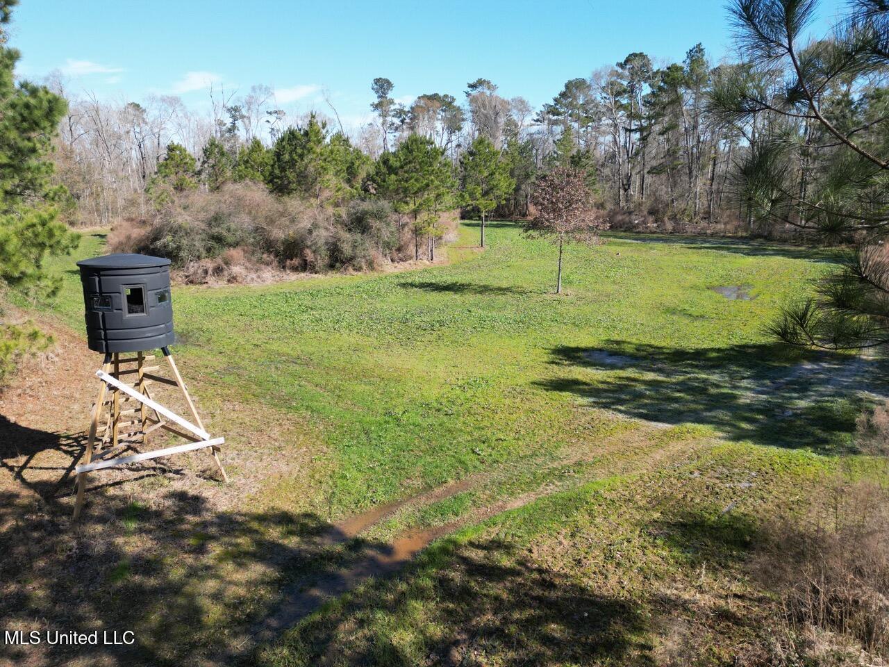 11311 Port Hudson-pride Road Property Photo 15