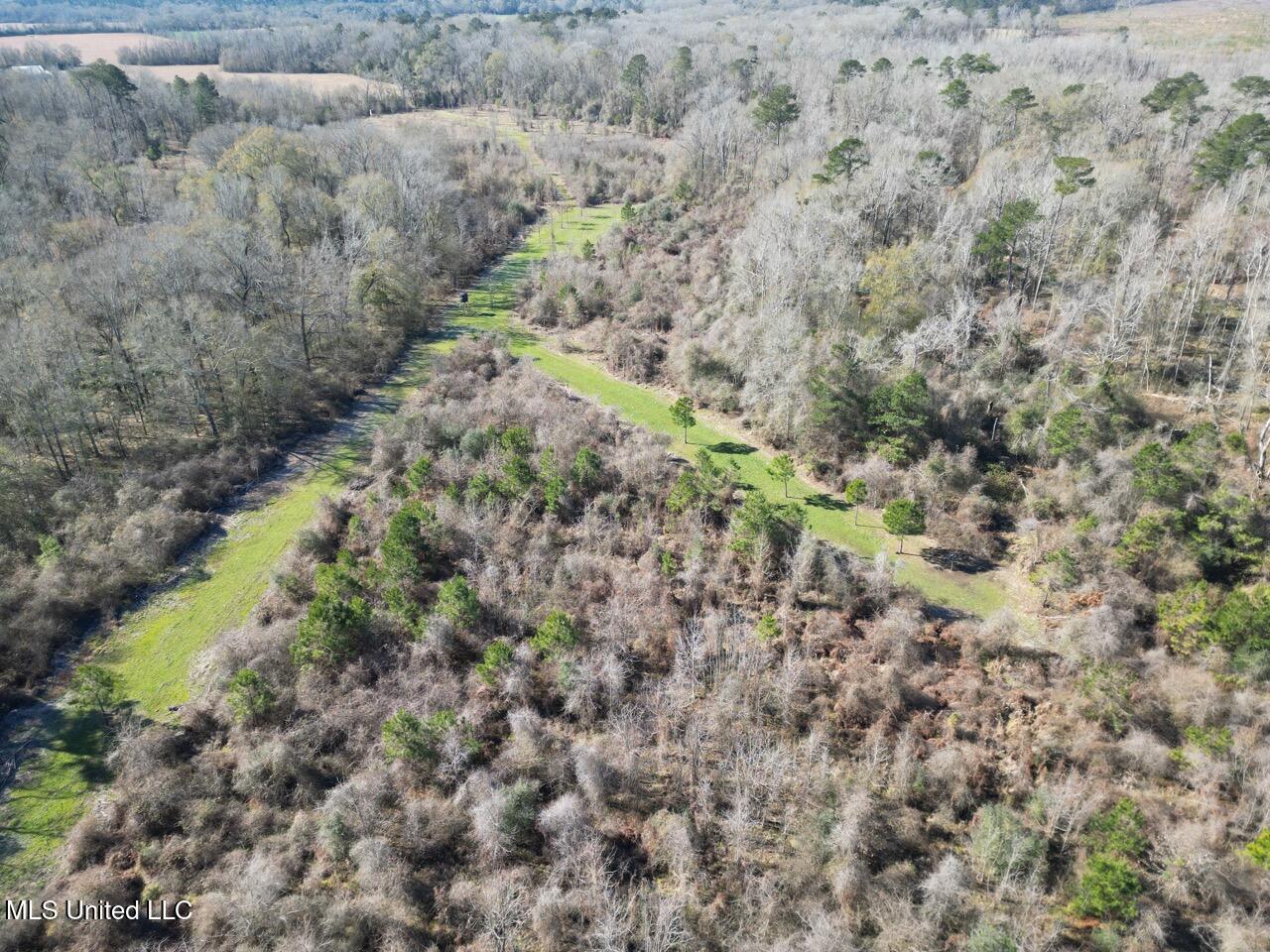 11311 Port Hudson-pride Road Property Photo 18
