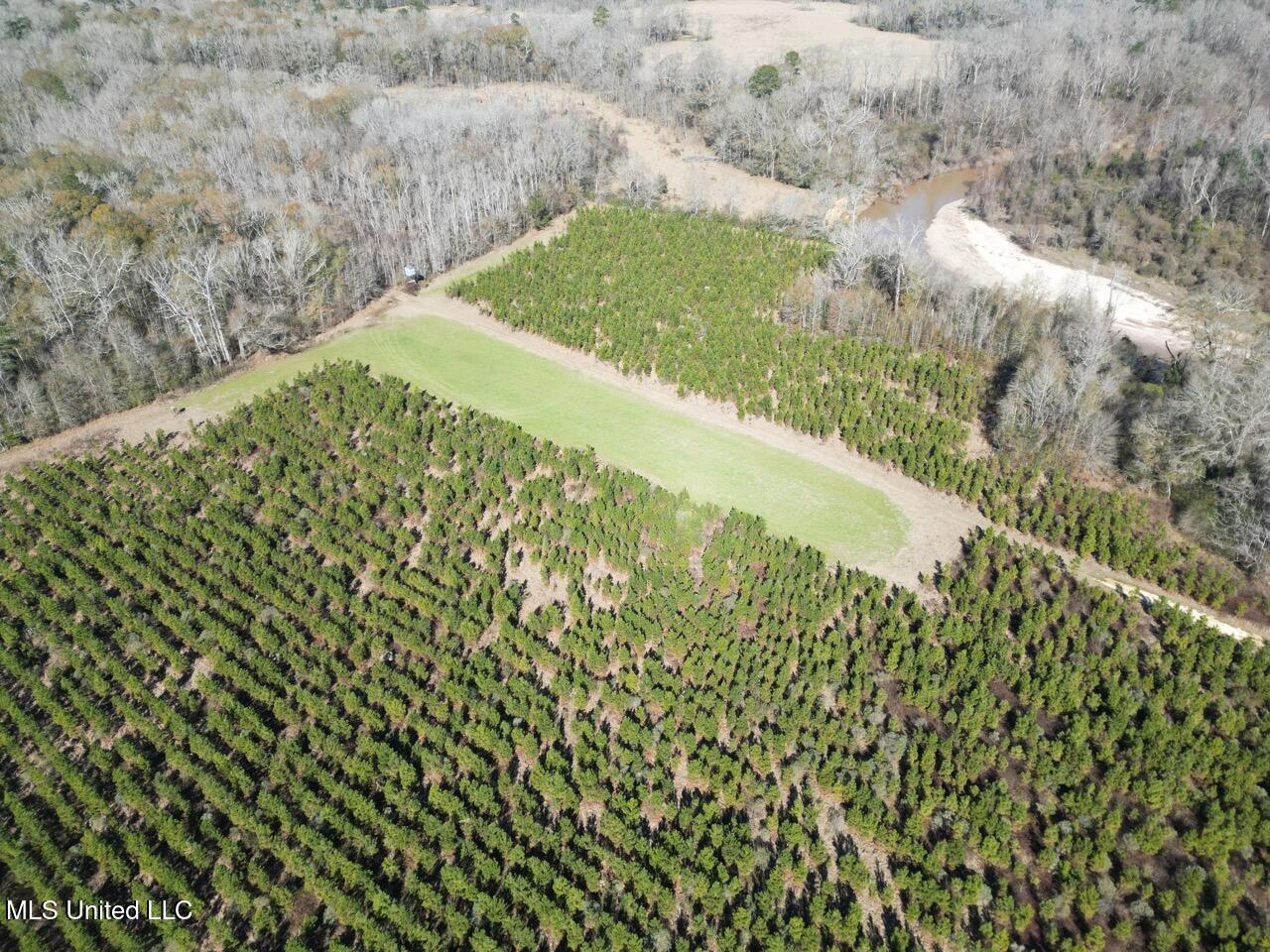 11311 Port Hudson-pride Road Property Photo 19