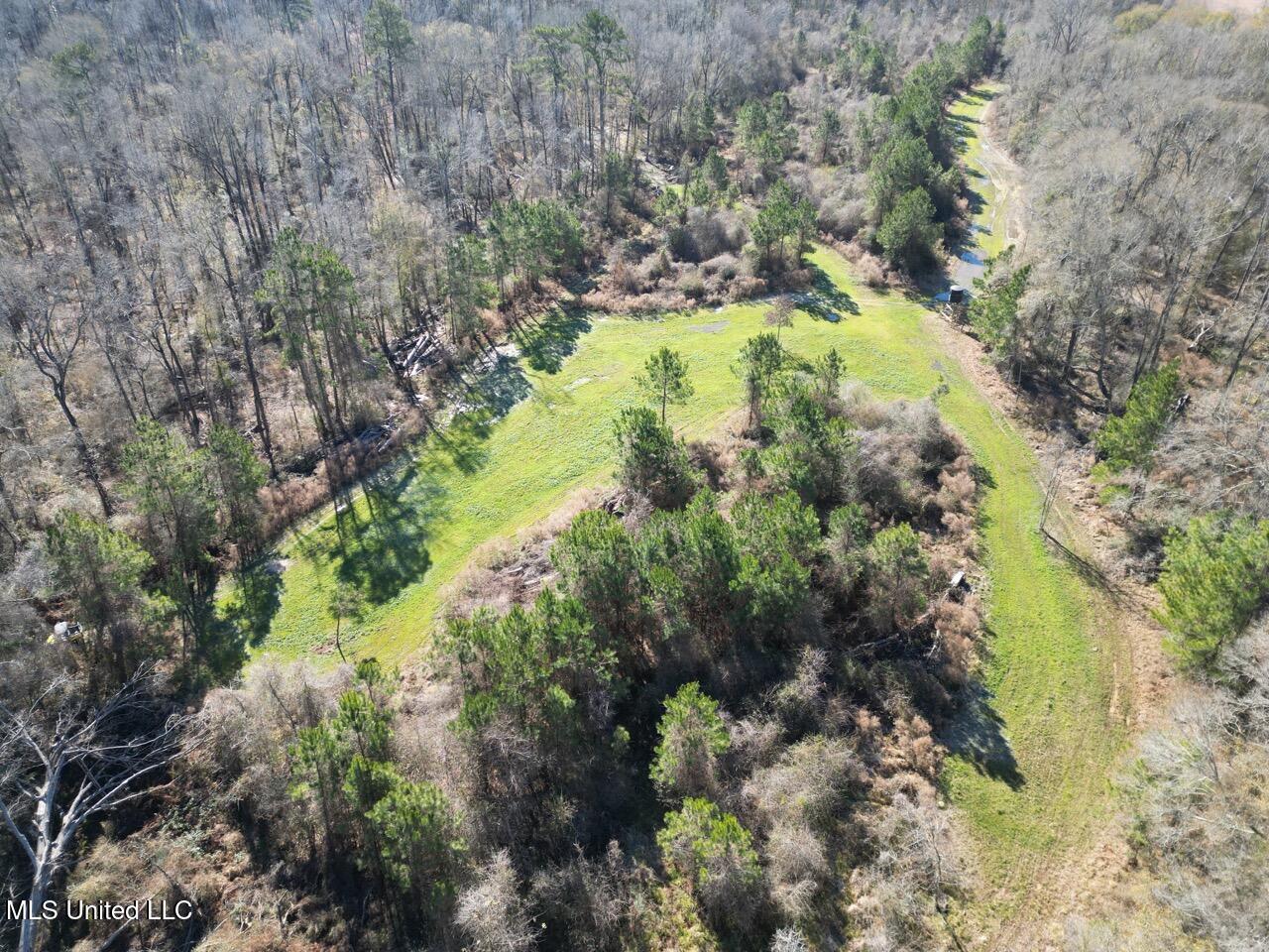 11311 Port Hudson-pride Road Property Photo 20