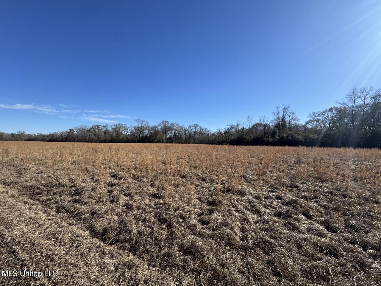11311 Port Hudson-pride Road Property Photo 21