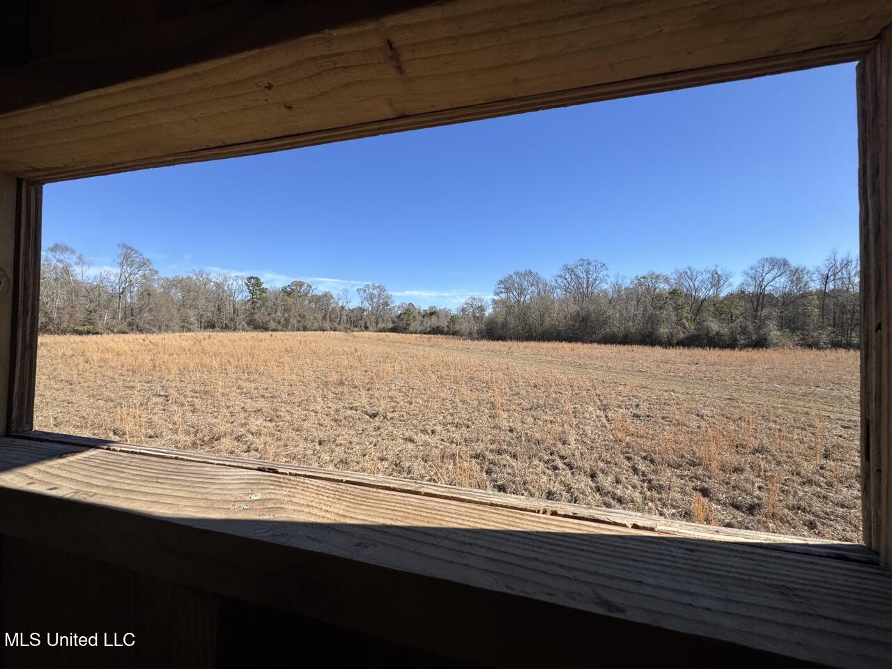 11311 Port Hudson-pride Road Property Photo 26