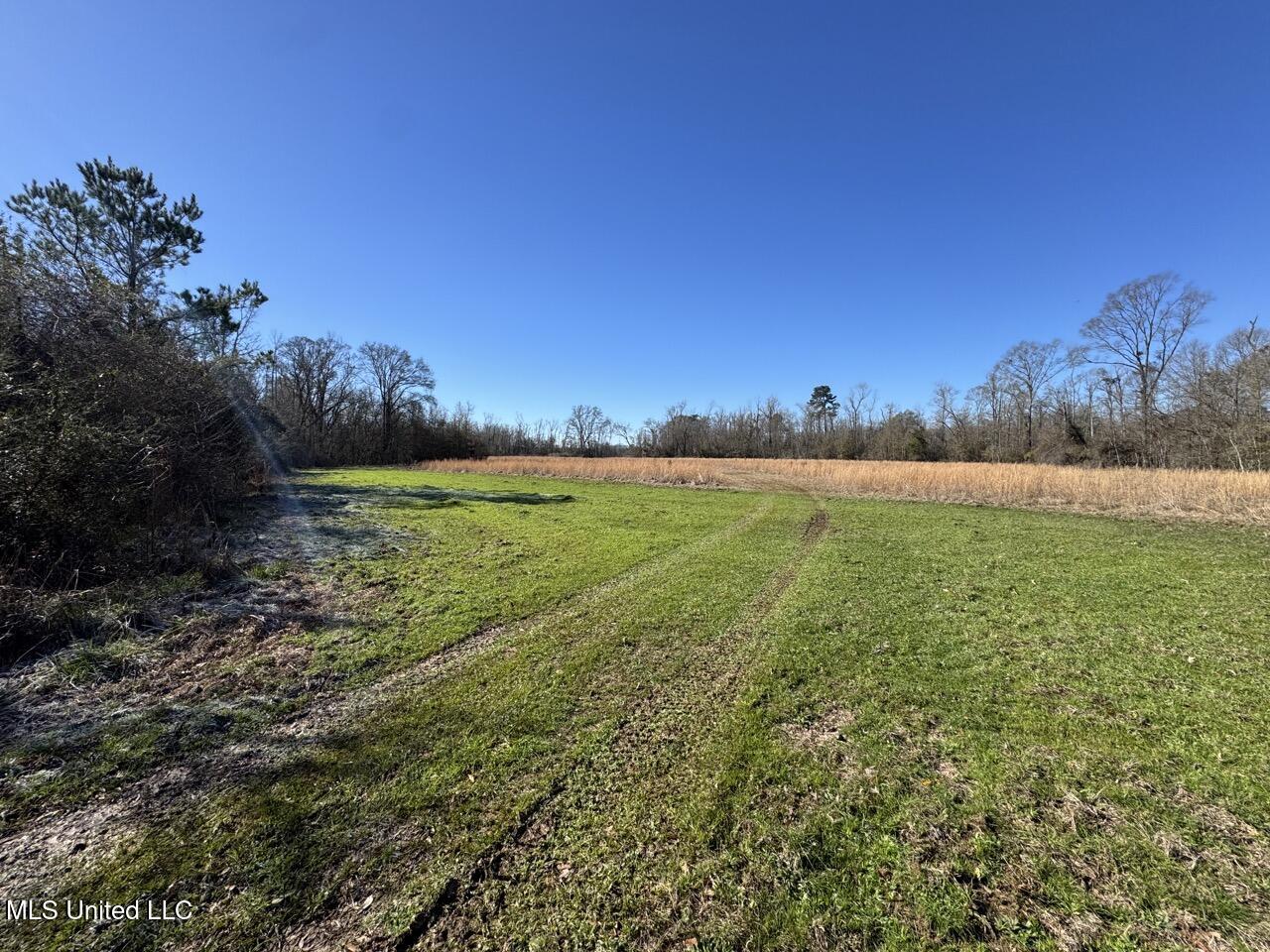 11311 Port Hudson-pride Road Property Photo 27