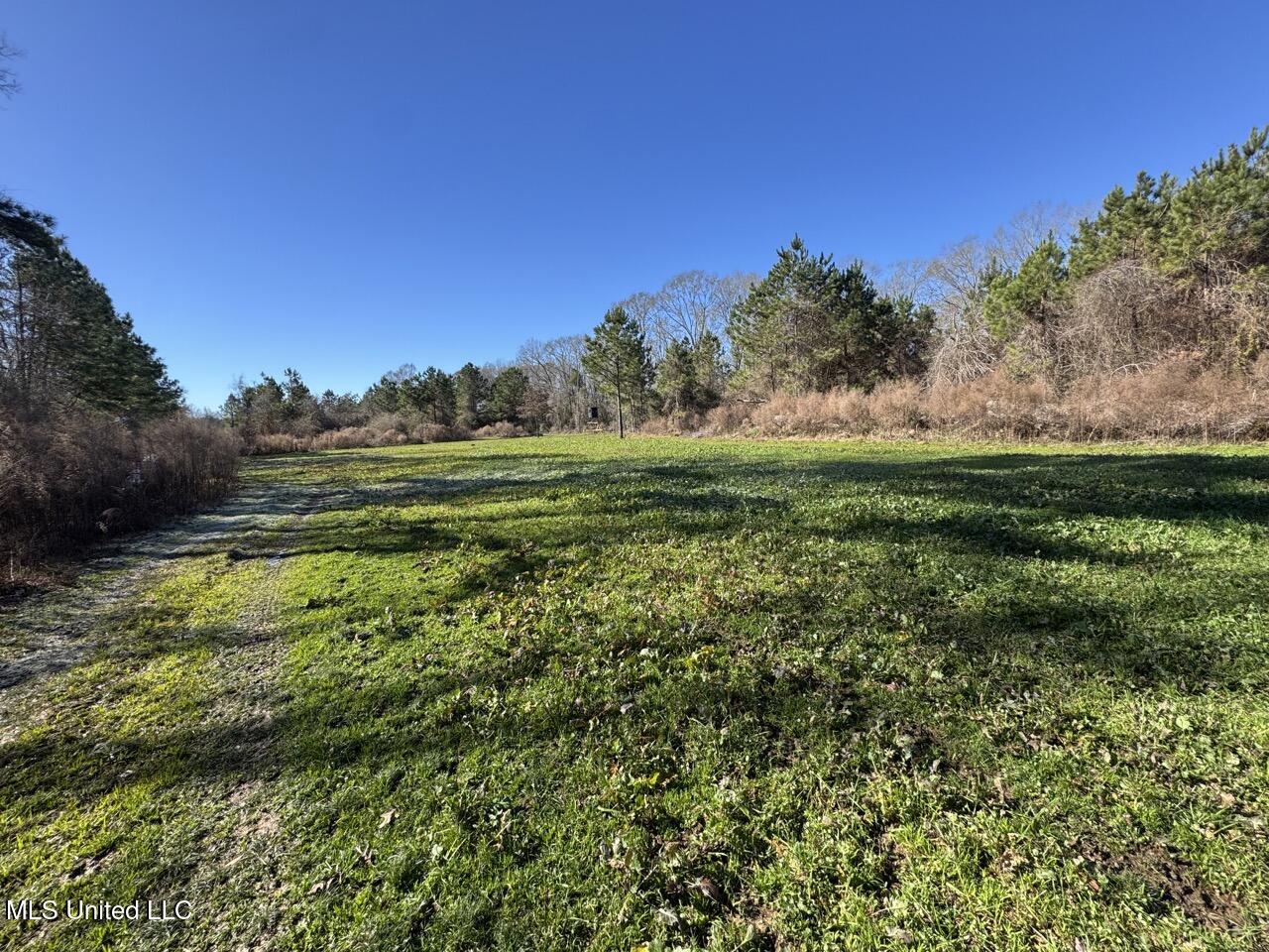 11311 Port Hudson-pride Road Property Photo 29