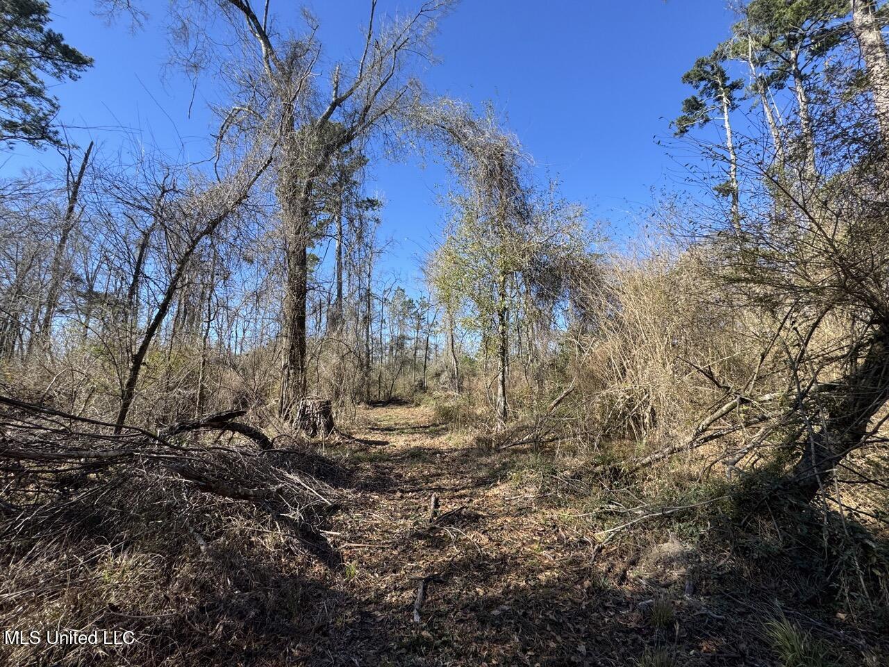 11311 Port Hudson-pride Road Property Photo 31