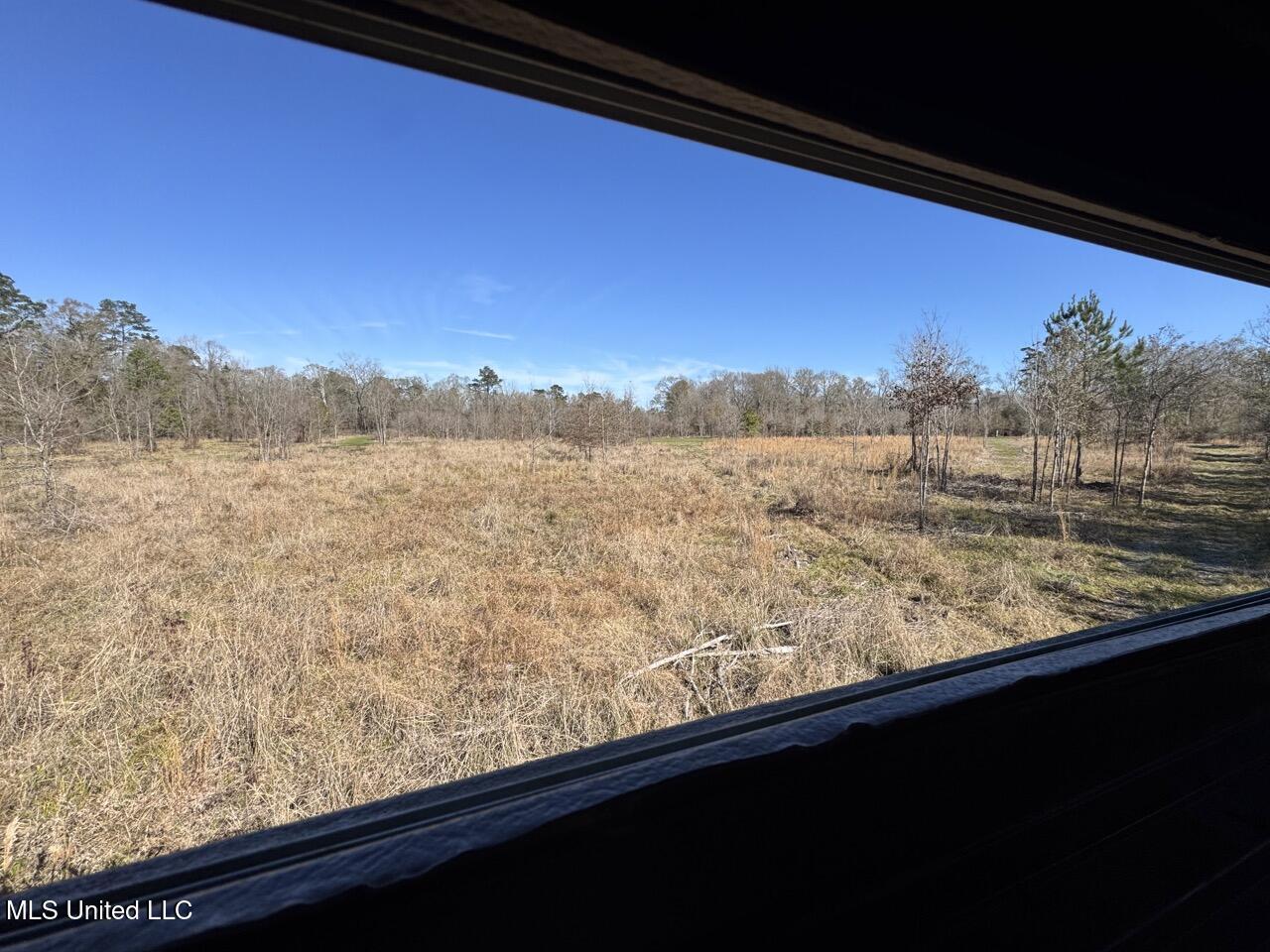 11311 Port Hudson-pride Road Property Photo 32
