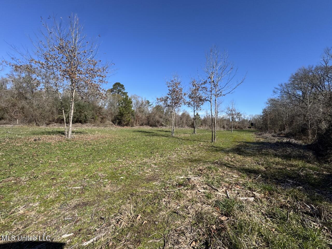11311 Port Hudson-pride Road Property Photo 33