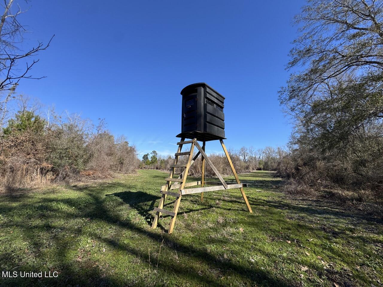 11311 Port Hudson-pride Road Property Photo 34