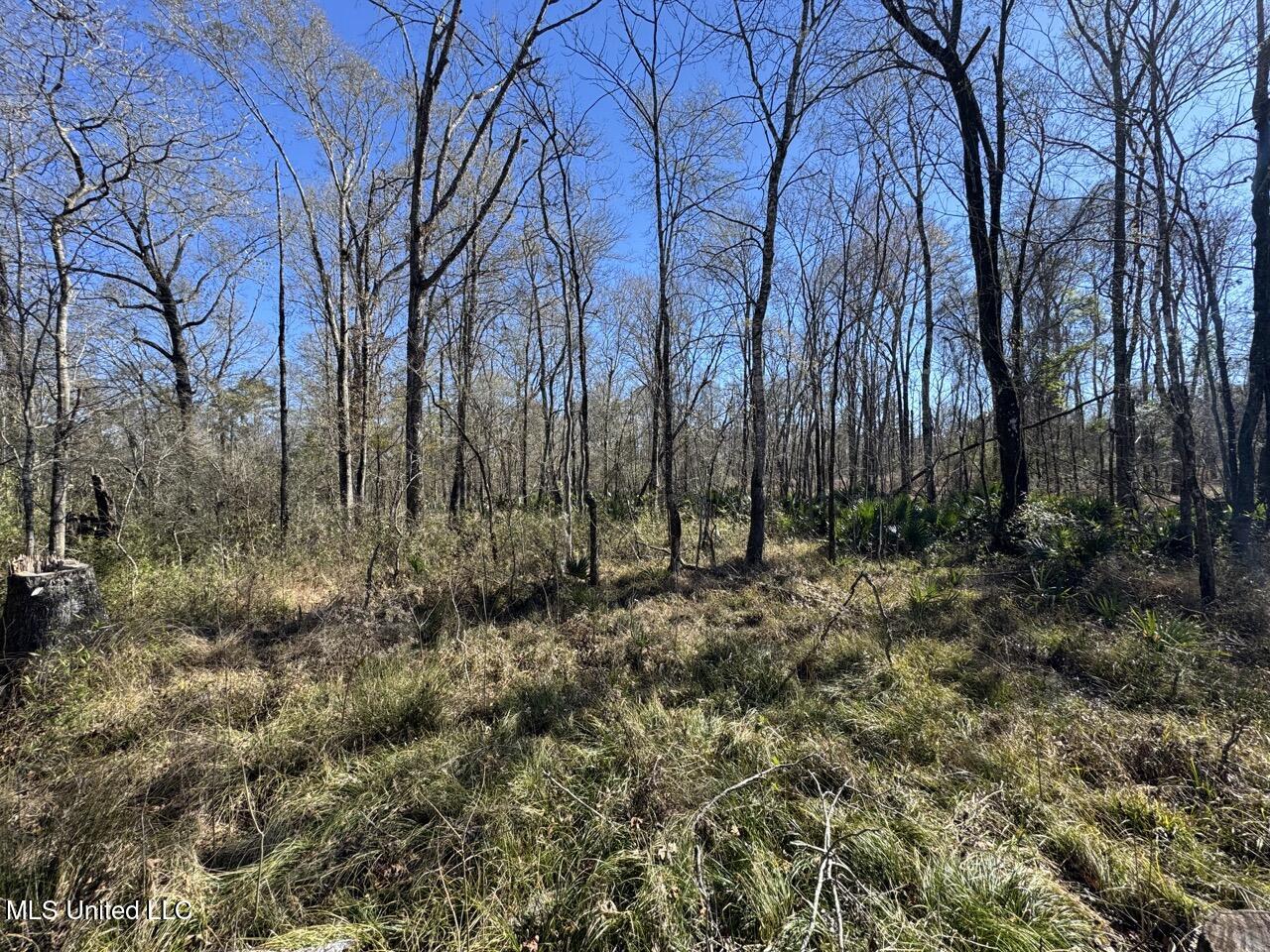 11311 Port Hudson-pride Road Property Photo 37
