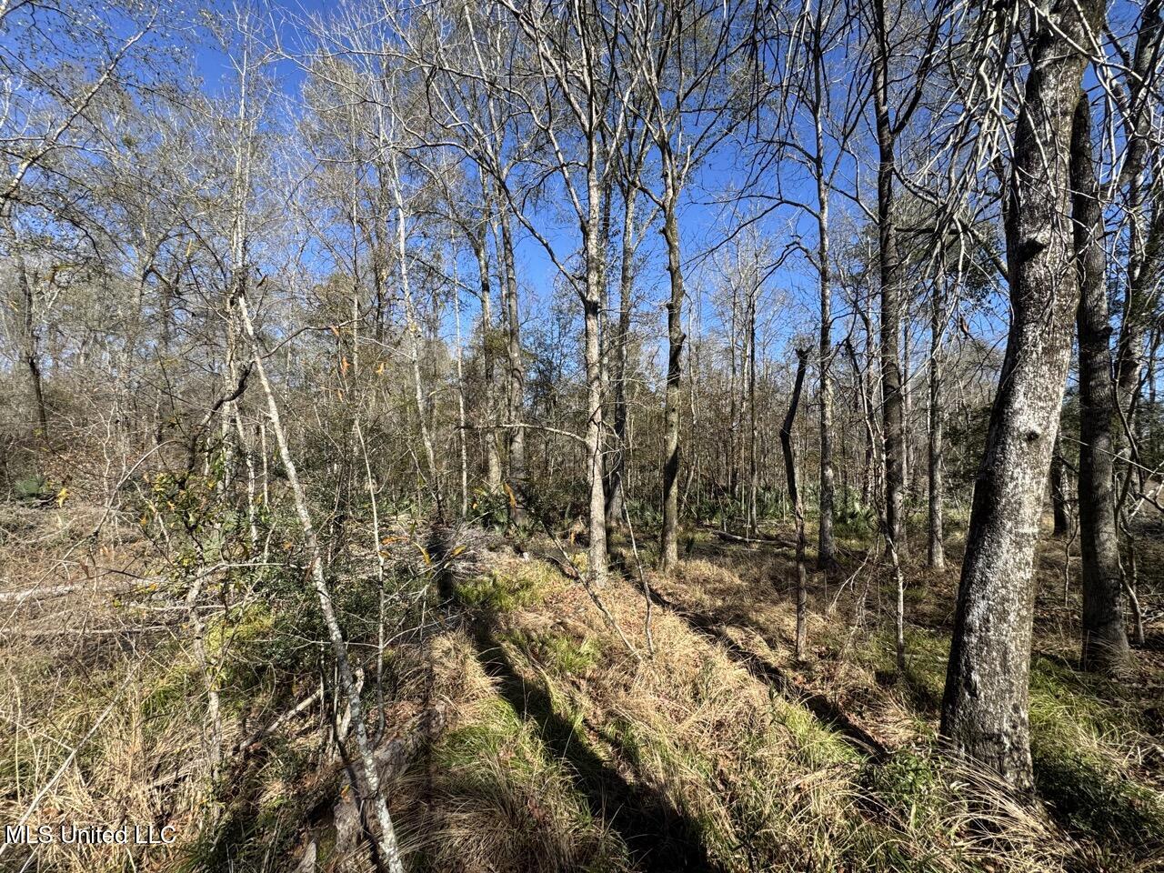 11311 Port Hudson-pride Road Property Photo 38