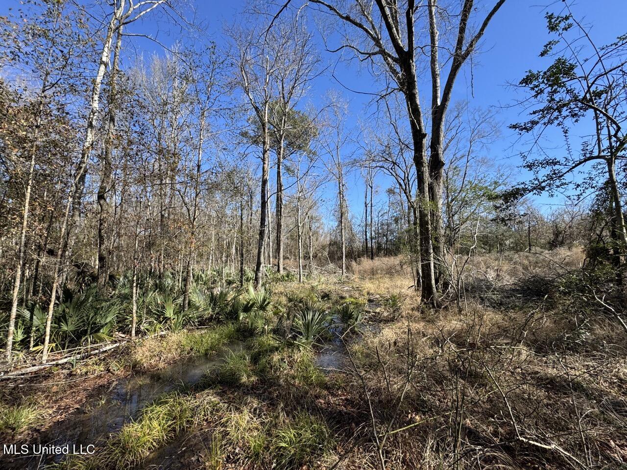 11311 Port Hudson-pride Road Property Photo 39
