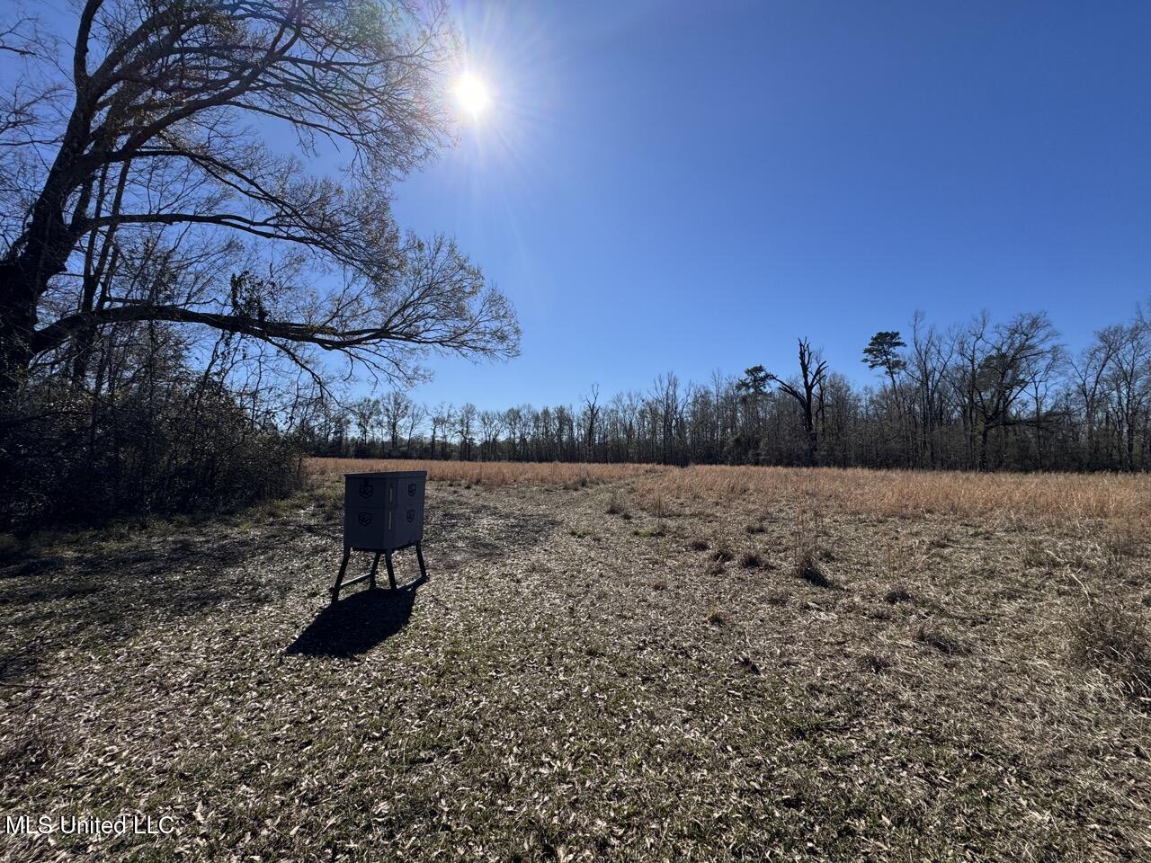 11311 Port Hudson-pride Road Property Photo 40