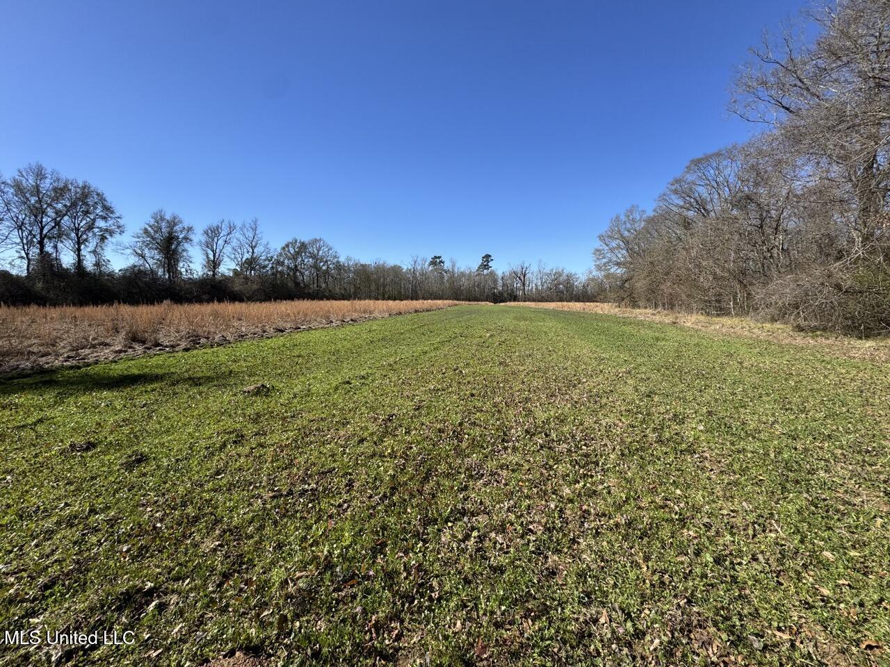 11311 Port Hudson-pride Road Property Photo 41