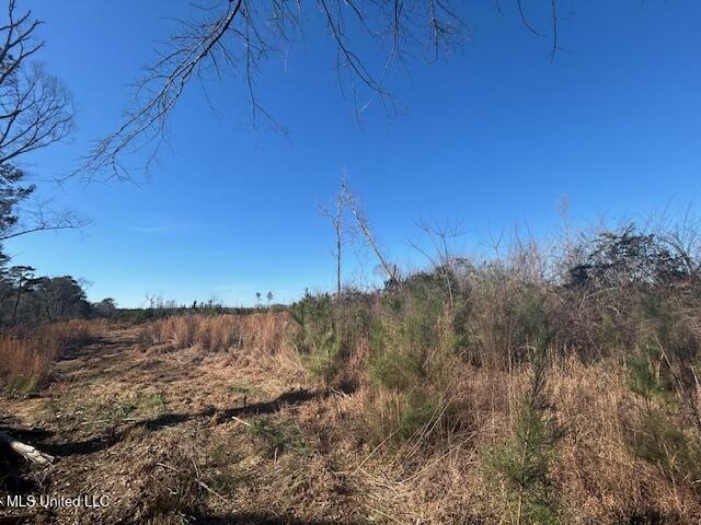Robert Jones Road Property Photo 1