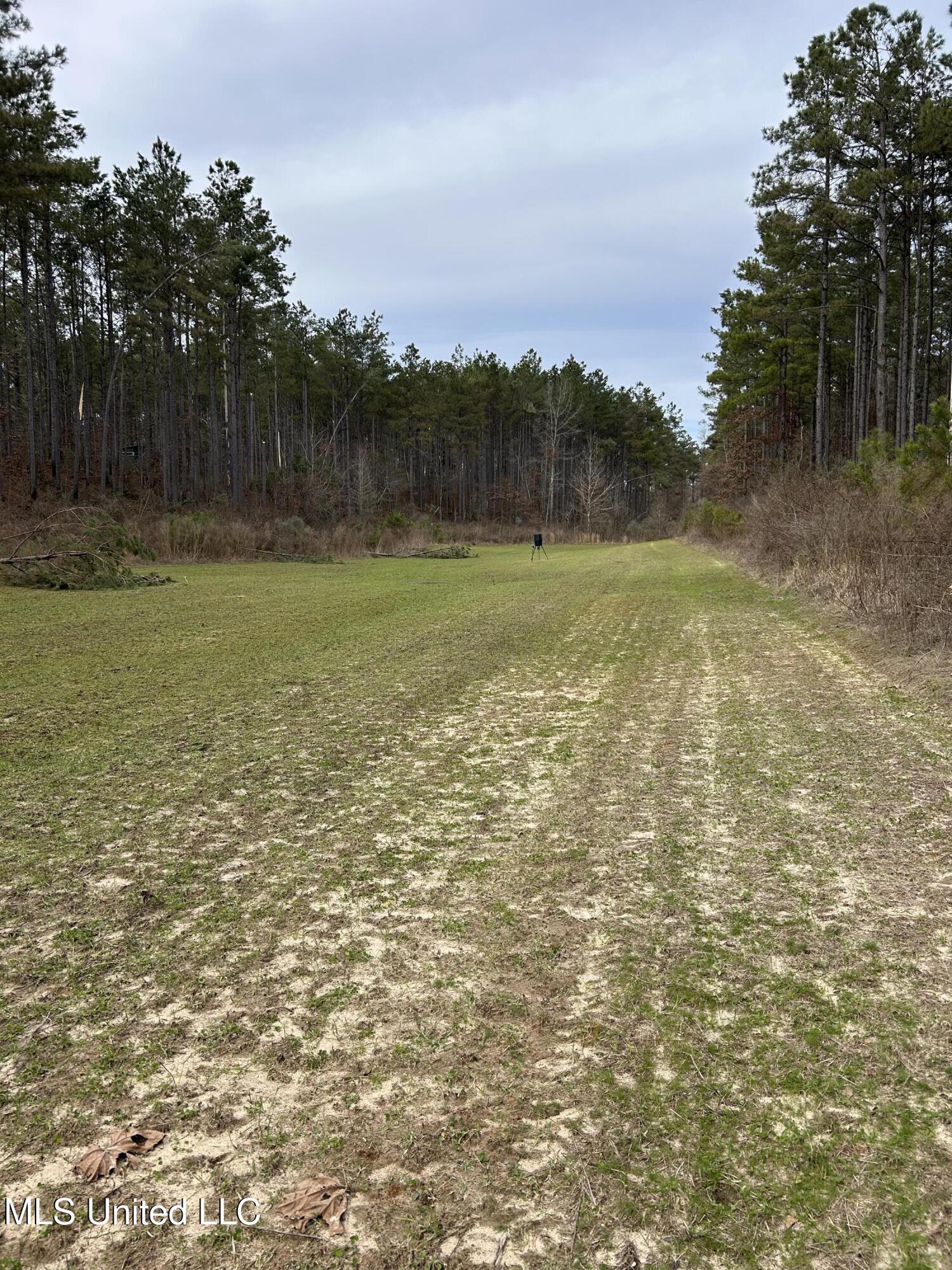 Bagasha Road Property Photo 16