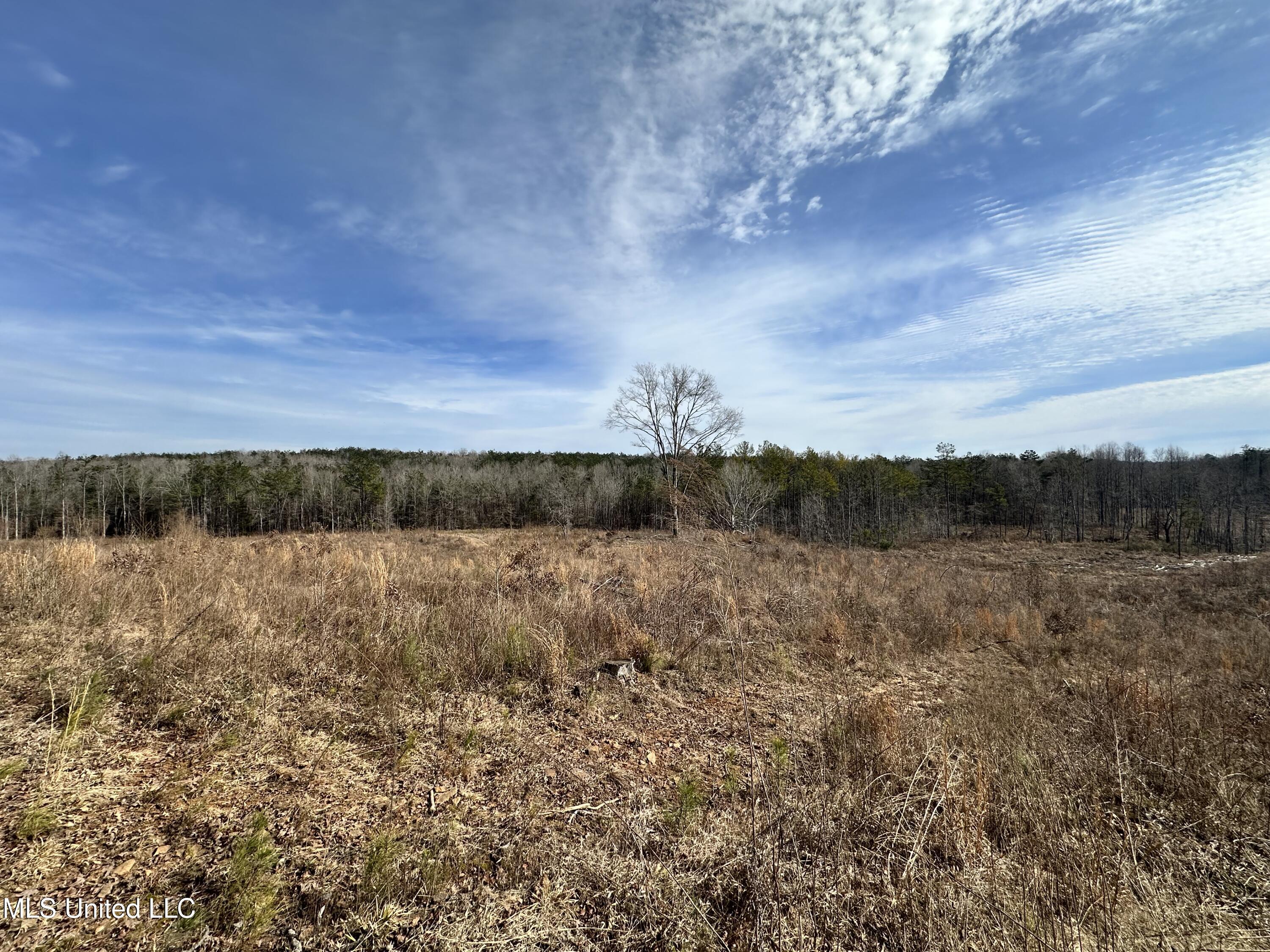 Bagasha Road Property Photo 36